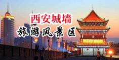 91黑丝中国陕西-西安城墙旅游风景区